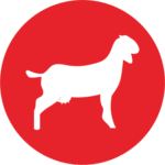 Milimilk - Icon Susu Kambing Red