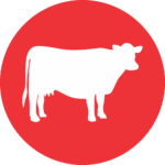 Icon - Sapi